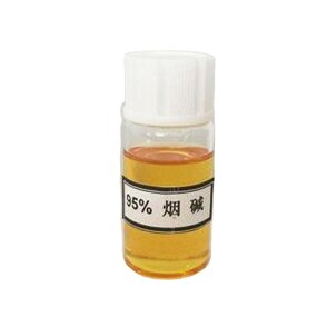 Solanesol Powder Manufacturer - Tobacco Extract