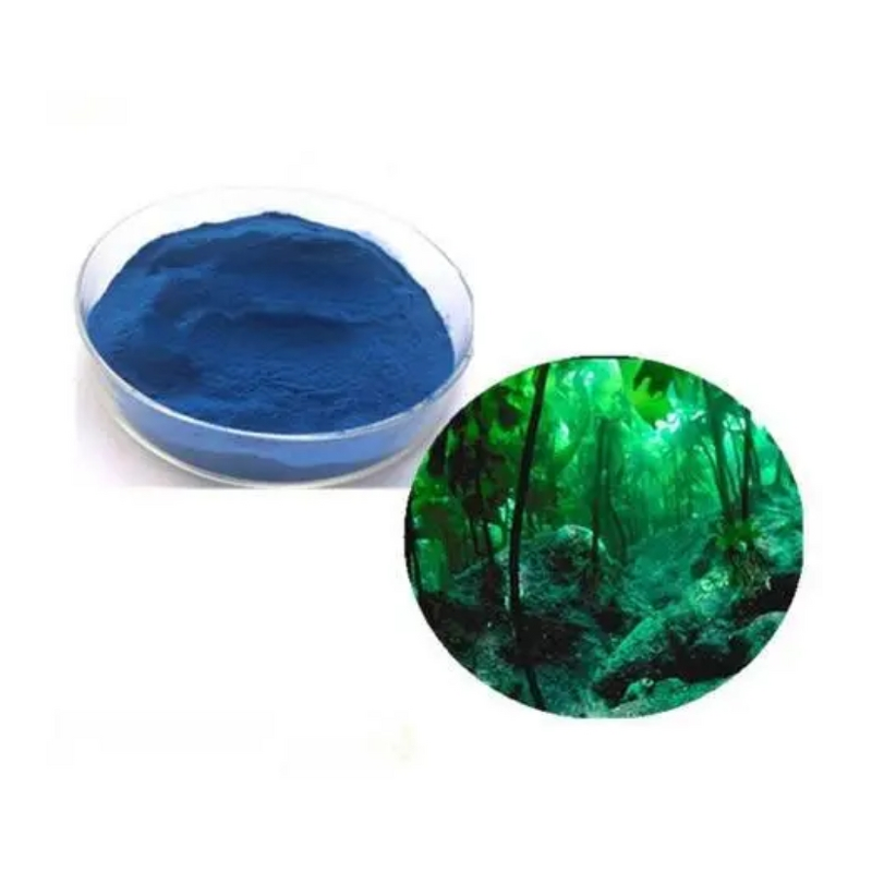 Spirulina Extract Powder Manufacturer - Phycocyanin Blue Food Grade