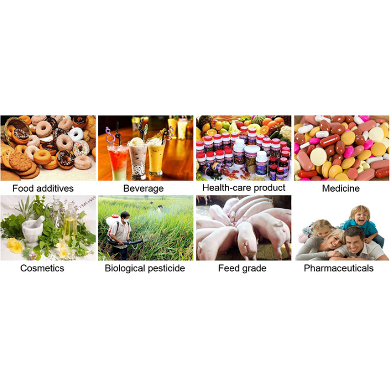 Polygonum Cuspidatum Extract Manufacturer - 98% Polydatin