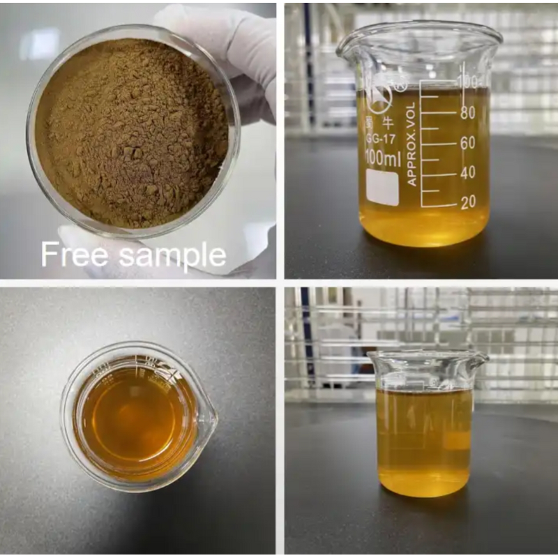 Ammi Majus Extract Powder Manufacturer - 10:1 20:1 Pure