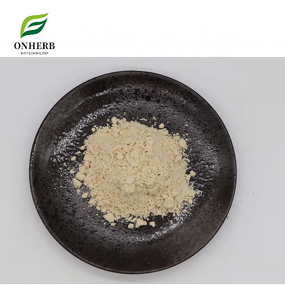 Watermelon Seed Extract Powder Manufacturer - 40% 60% Protein