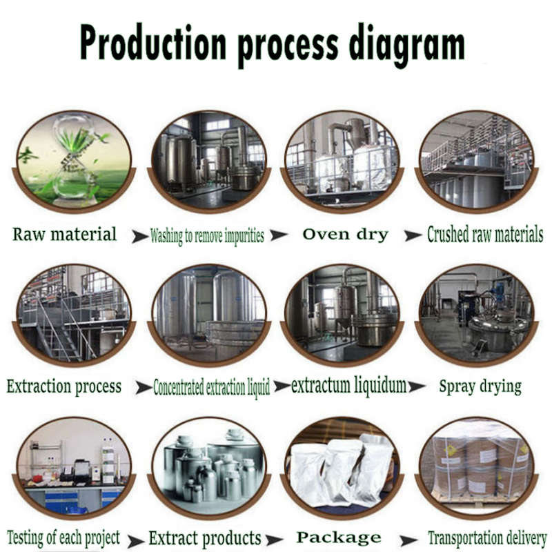 Chaga Mushroom Extract Powder Manufacturer - 30% Polysaccharide