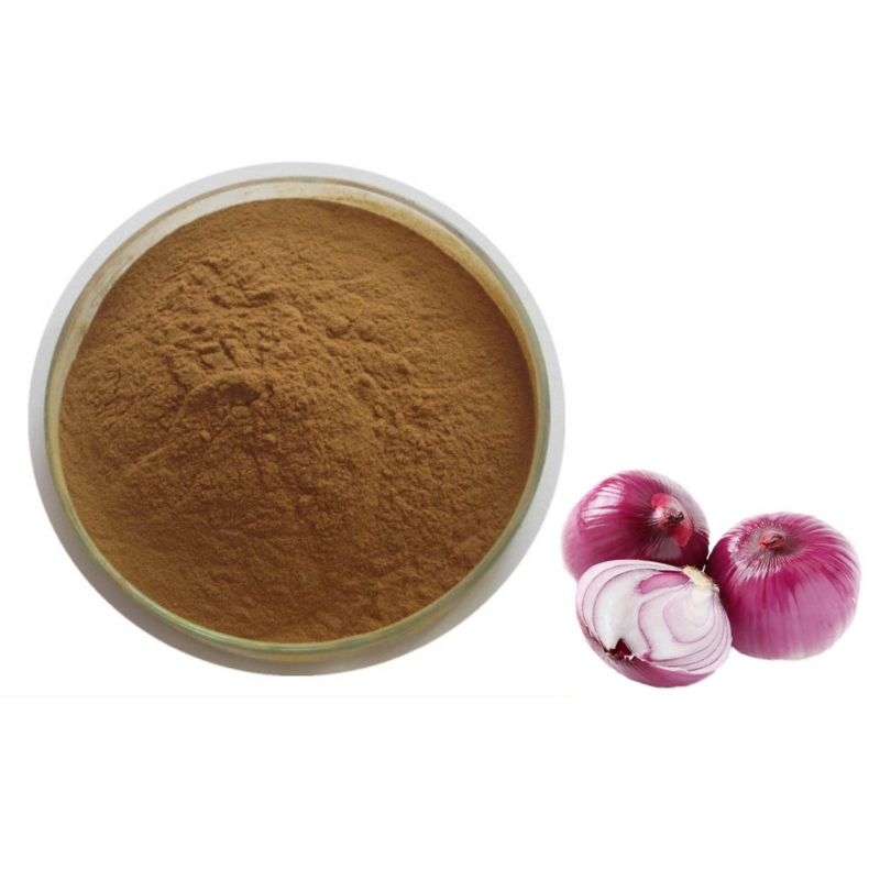 Red Onion Peel Extract Manufacturer - 100% Pure Natural