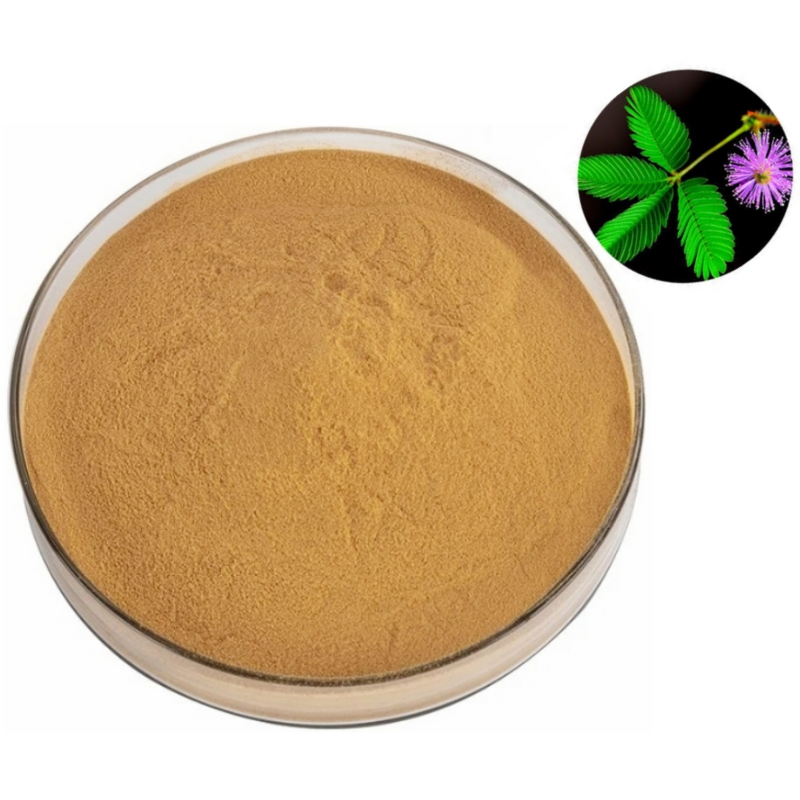 Mimosa Root Extract Powder Manufacturer - 10:1 Mimosa Bark