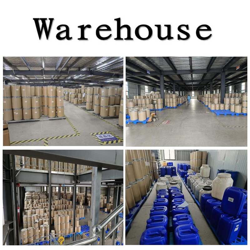 Yarrow Oil Manufacturer - 100% Organic Achillea Millefolium