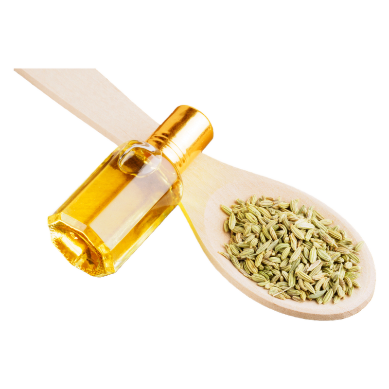 Fennel Seed Oil Manufacturer - 100% Natural Fluid Extract