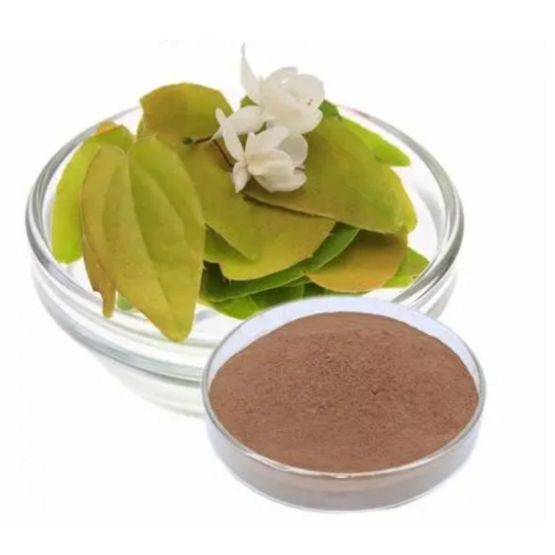 Epimedium Extract Powder Manufacturer - 1%-98% Icaritin