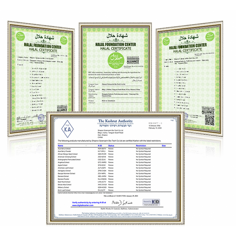 Fennel Seed Oil Manufacturer - 100% Natural Fluid Extract