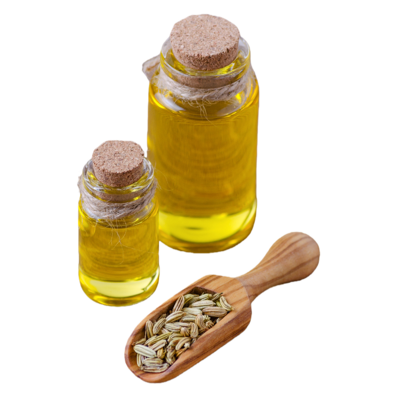 Fennel Seed Oil Manufacturer - 100% Natural Fluid Extract