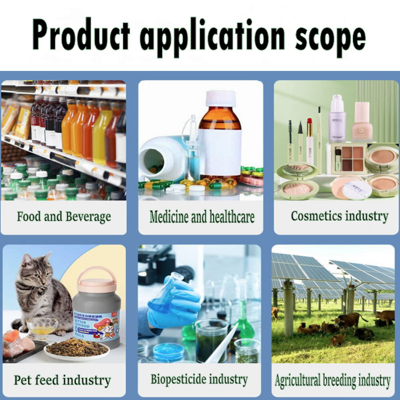 Watermelon Seed Extract Powder Manufacturer - 40% 60% Protein