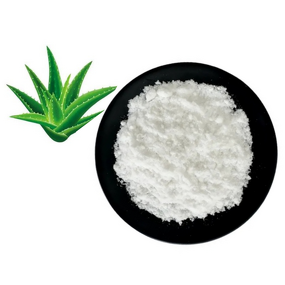 Aloe Vera Extract Powder Manufacturer - 200:1 Freeze Dried Gel