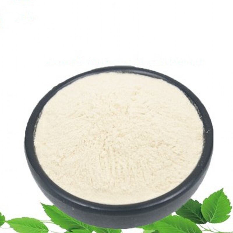 Mastic Gum Extract Manufacturer - Mastic Gum Powder
