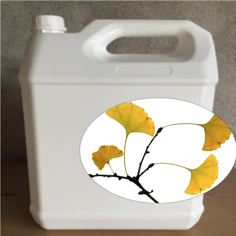 Ginkgo Biloba Extract Manufacturer - Ginkgo Biloba Leaf Liquid