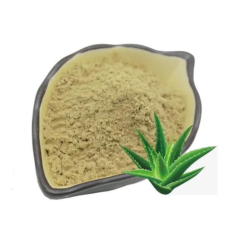 Aloe Vera Extract Powder Manufacturer - 200:1 Freeze Dried Gel