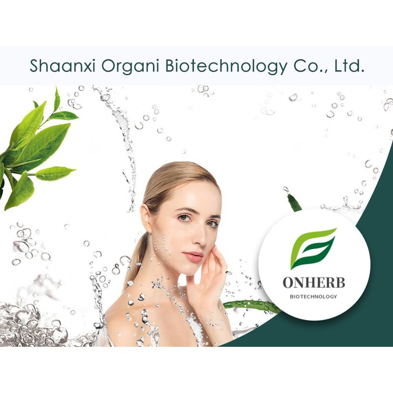 Ammi Majus Extract Powder Manufacturer - 10:1 20:1 Pure