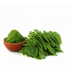 Moringa Leaf Powder Manufacturer - Moringa Extract & Capsules