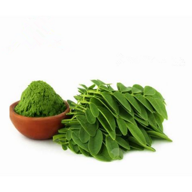 Moringa Leaf Powder Manufacturer - Moringa Extract & Capsules