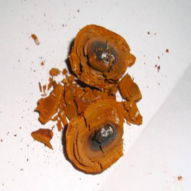 Ox Bile Extract Manufacturer - 100% Natural Powder