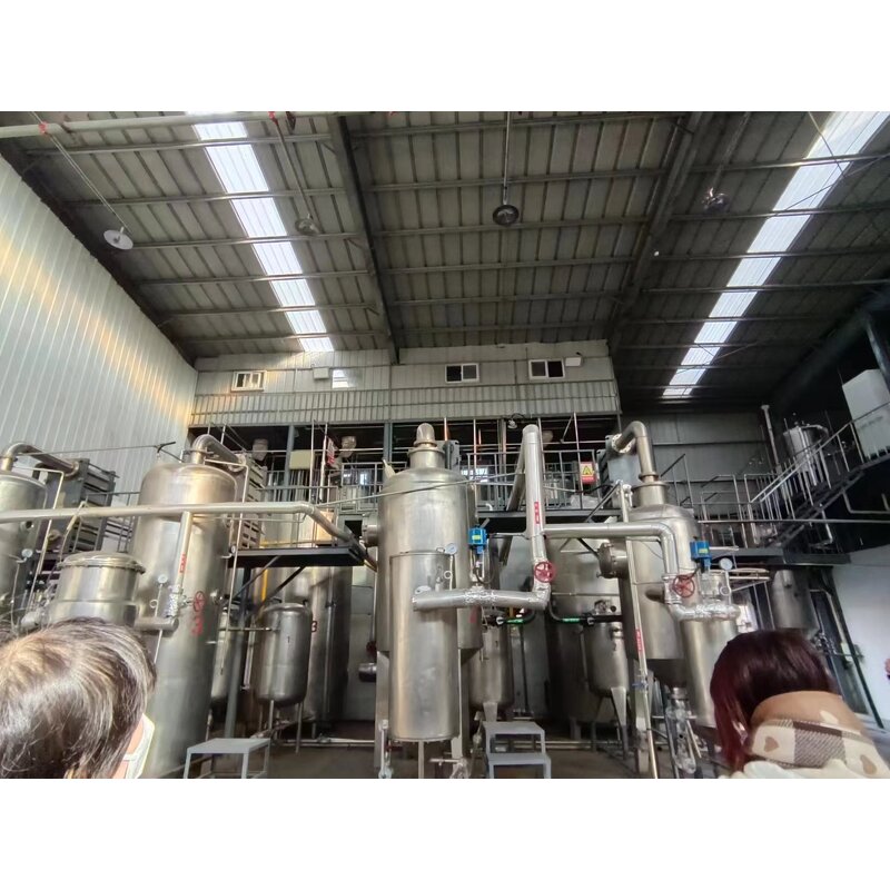 Pineapple Powder Manufacturer - 100% Organic Freeze Dried