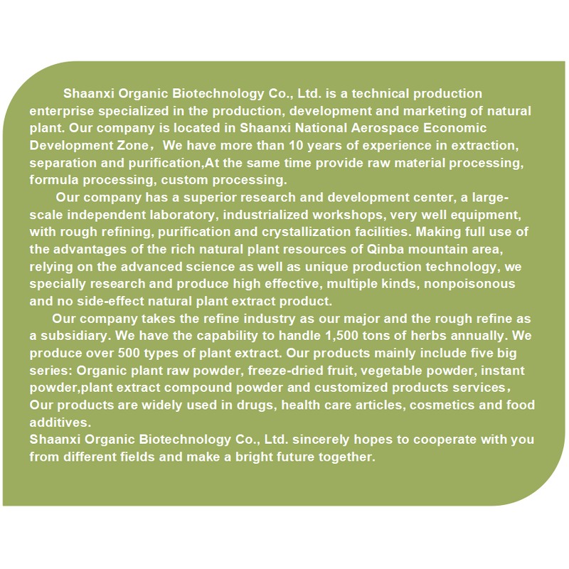 Soapnut Extract Powder Manufacturer - 40% 80% Saponin for Shampoo