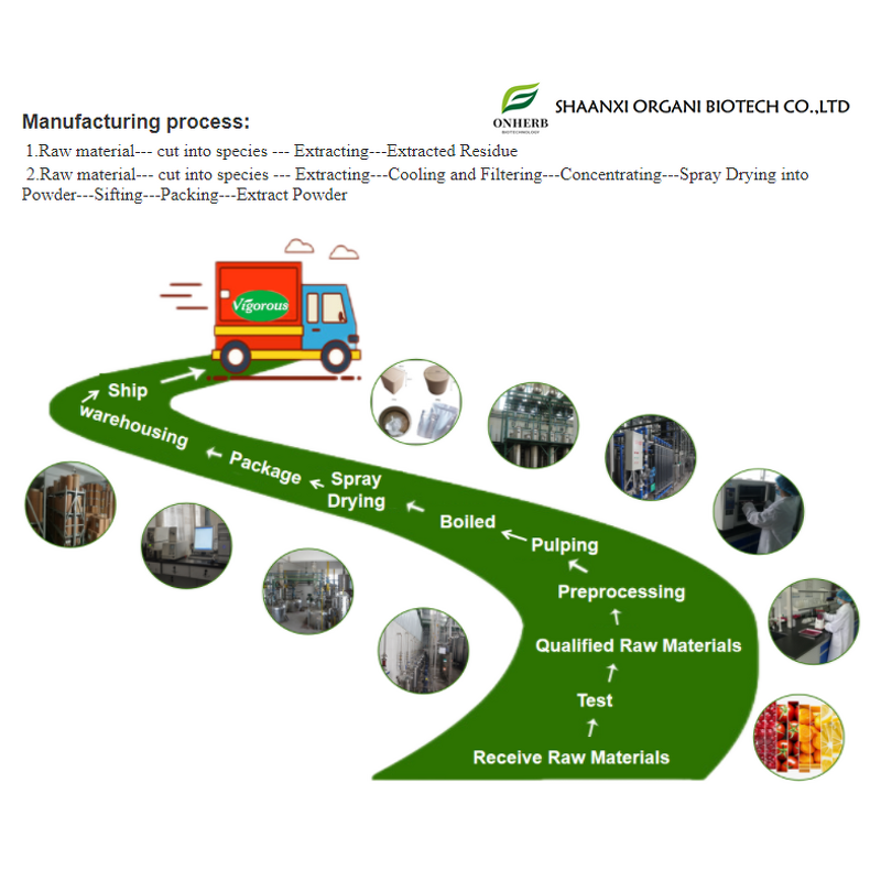 Black Elderberry Extract Powder Manufacturer - 25% Anthocyanins Bulk