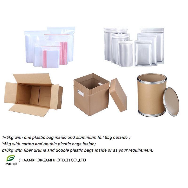 Blueberry Extract Manufacturer - 100% Organic Dried Fruit Powder