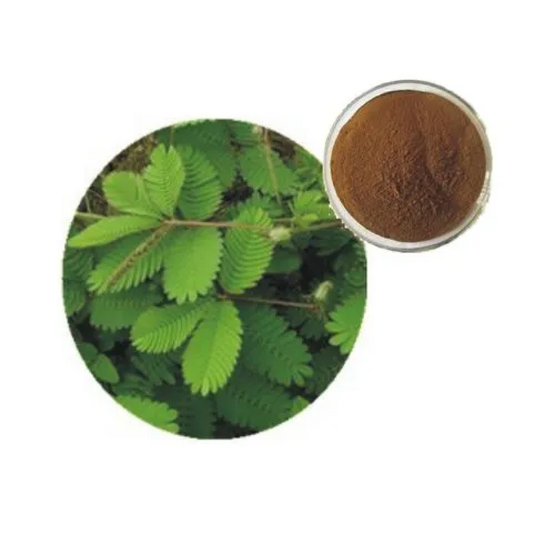 Mimosa Root Extract Powder Manufacturer - Mimosa Bark Extract