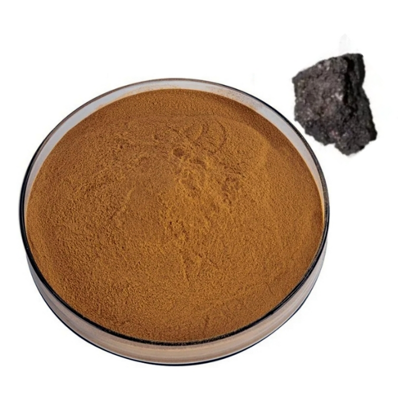 Shilajit Extract Powder Manufacturer - 100% Pure Himalayan