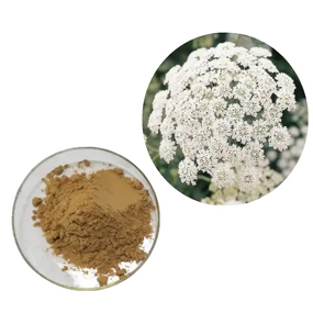Ammi Majus Extract Powder Manufacturer - 10:1 20:1 Pure