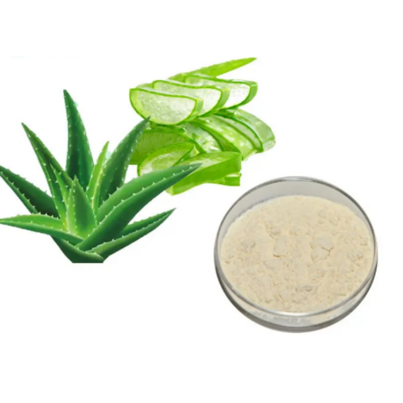 Aloe Vera Extract Powder Manufacturer - 200:1 Freeze Dried Gel