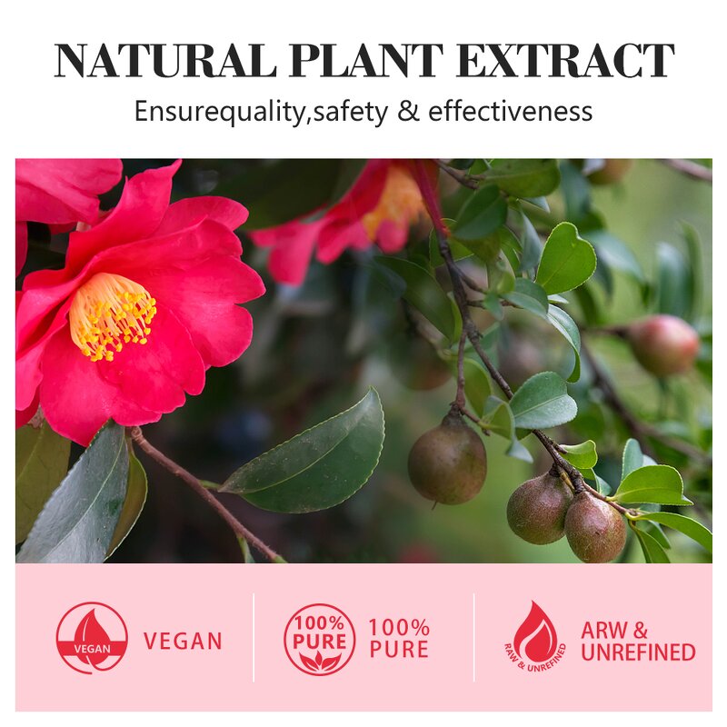 Japanese Camellia Seed Oil Manufacturer - 100% Pure Organic Tsubaki Oil & OEM