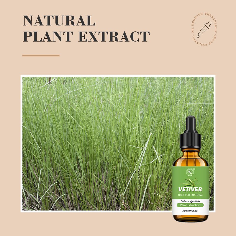 Vetiver Essential Oil Manufacturer - 100% Pure Vetiveria Zizanoides for Diffuser & OEM
