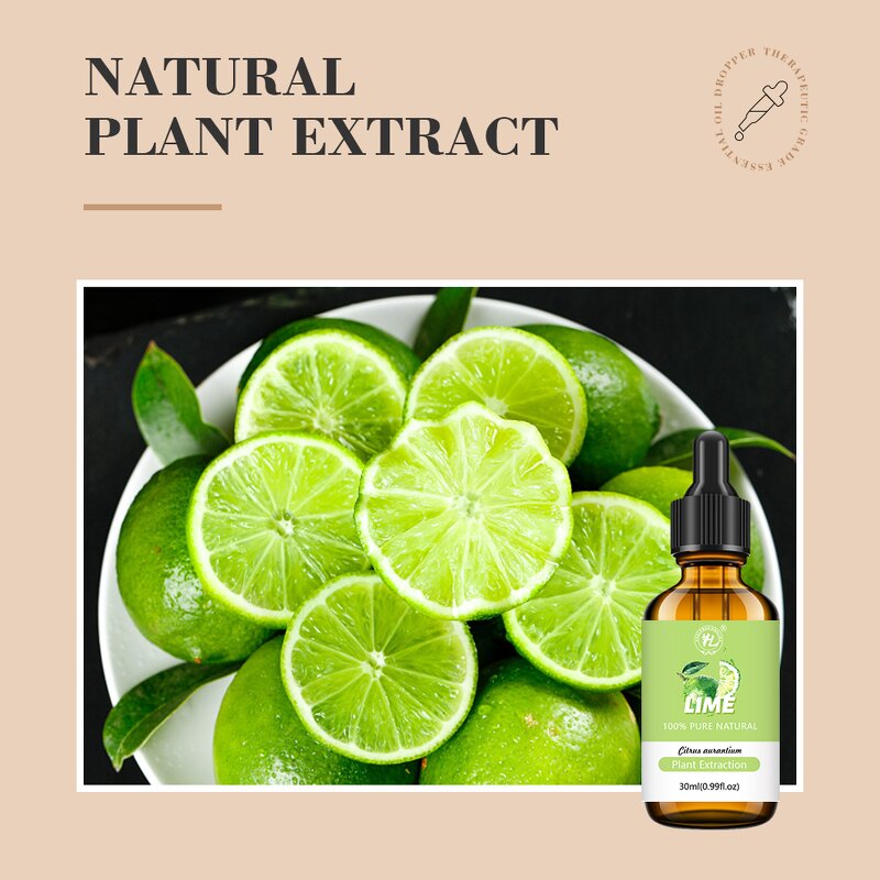 Indian Lime Essential Oil Manufacturer - 100% Pure Organic Steam Distilled & OEM