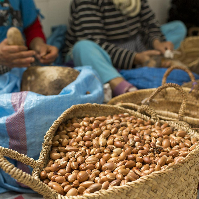 Argan Oil Manufacturer - 100% Pure Organic Cold Pressed Unrefined for Hair Shampoo & OEM