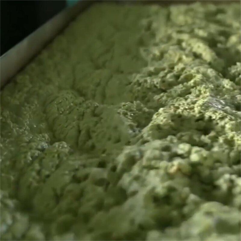 Amla Seed Oil Manufacturer - 100% Pure Organic Cold Pressed for Long Hair Growth & OEM