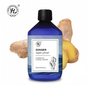 Ginger Root Hydrosol Manufacturer - 100% Pure for Skin Hair & Diffuser & OEM