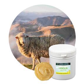 Lanolin Anhydrous Cream Manufacturer - 100% Pure Natural Australian Merino Wool