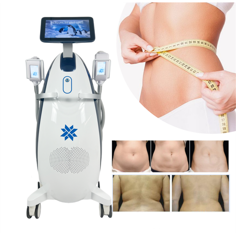 Cryolipolysis Slimming Machine Manufacturer - Professional 6in1 Portable Fat Freezing Diamond Ice