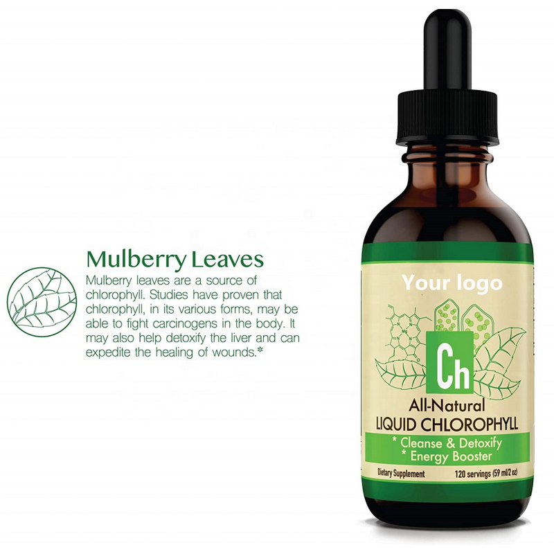 Liquid Chlorophyll Drops Manufacturer - Private Label Mint Flavor for Detox & Energy Boost