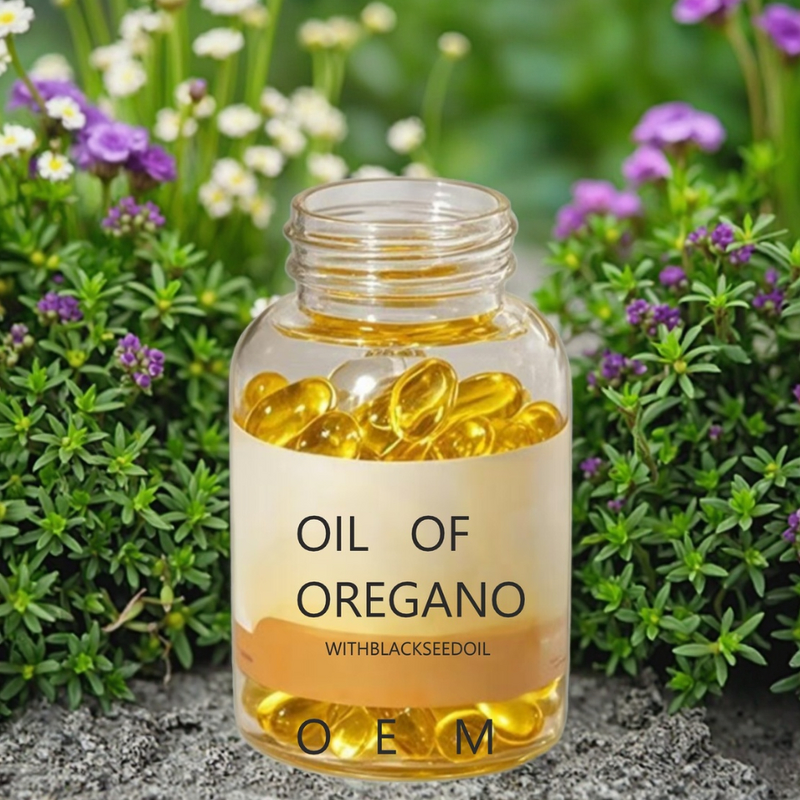 Oregano Oil Soft Capsules Manufacturer - 100% Pure Natural Dietary Supplement