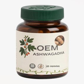 Ashwagandha Capsules Manufacturer - Herbal Supplement Extract
