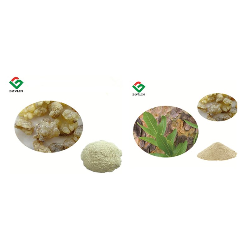 Frankincense Extract Powder 65% Boswellic Acid - Bulk Boswellia Serrata Supplier