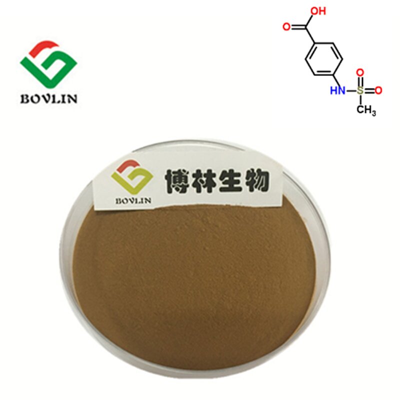 Ginkgo Biloba Extract Powder Manufacturer - Food Grade 100% Pure in Bottle or Glass