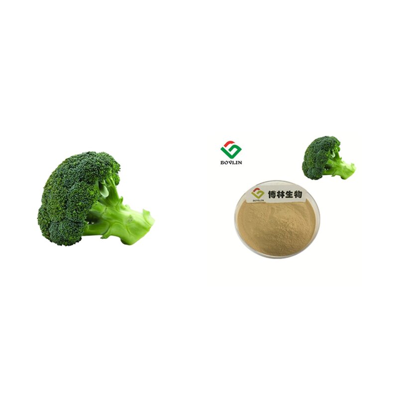 Organic Broccoli Extract Powder Manufacturer - 1% Sulforaphane Content