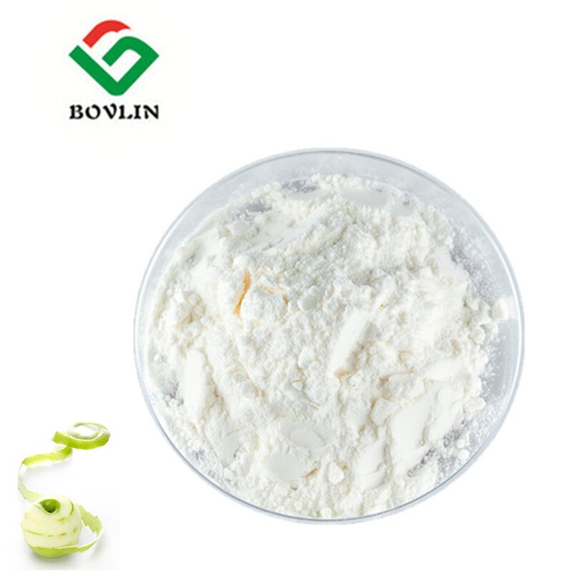 Apple Juice Concentrate Powder Manufacturer - 100% Pure Organic Apple Flavor