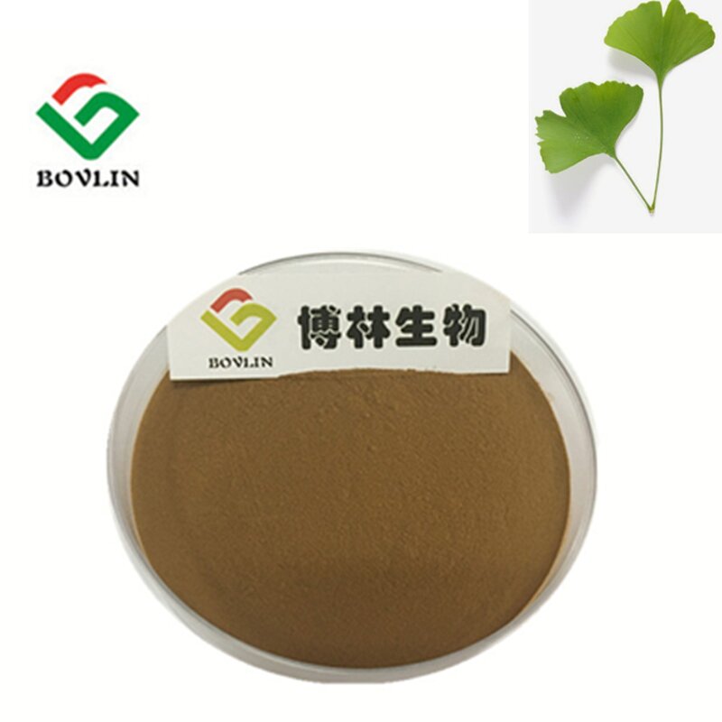 Ginkgo Biloba Extract Powder Manufacturer - Food Grade 100% Pure in Bottle or Glass