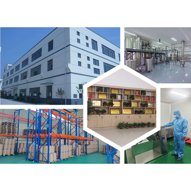 Sophora Japonica Extract Manufacturer - Quercetin Powder, Liposomal Quercetin