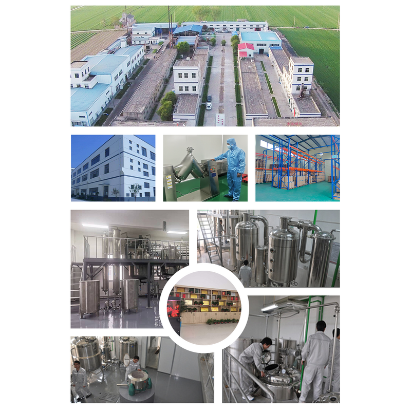 Shilajit Extract Powder Manufacturer - Private Label & Capsules