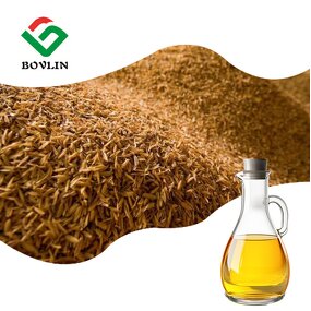 Rice Bran Extract Powder Manufacturer - 100% Pure Natural Organic with Allicin in Bottle or Drum