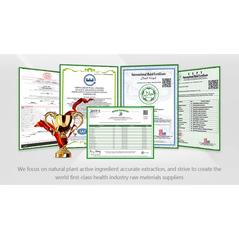 Turkesterone Capsules Manufacturer - 500mg Private Label & OEM